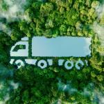 Sustainable Exporting — Thesaki’s Commitment to a Greener Future
