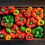 Capsicum