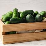 Cucumber