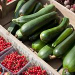 Zucchini