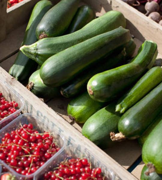 Zucchini